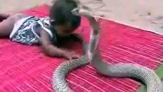 Wow Snake