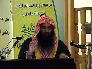 下载视频: Ahle Bait Ki Fazilat Part 4 of 8 (By Sheikh Tauseef Ur Rehman).flv - YouTube