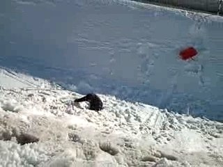 Descente en Bob de Stef