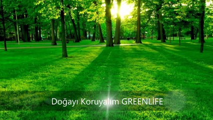 Doğa Dostu - Greenlife Webmaster-3web