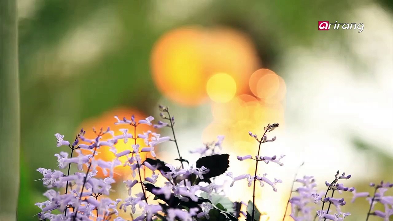 Chefs Foodcation Ep10C6 Gapyeong, a City of Nature and Culture