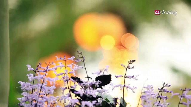 Chefs Foodcation Ep10C6 Gapyeong, a City of Nature and Culture