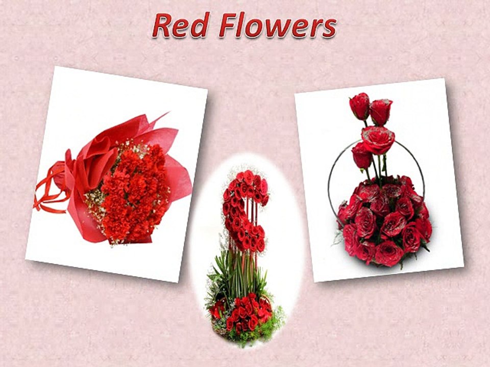Different Color Flowers