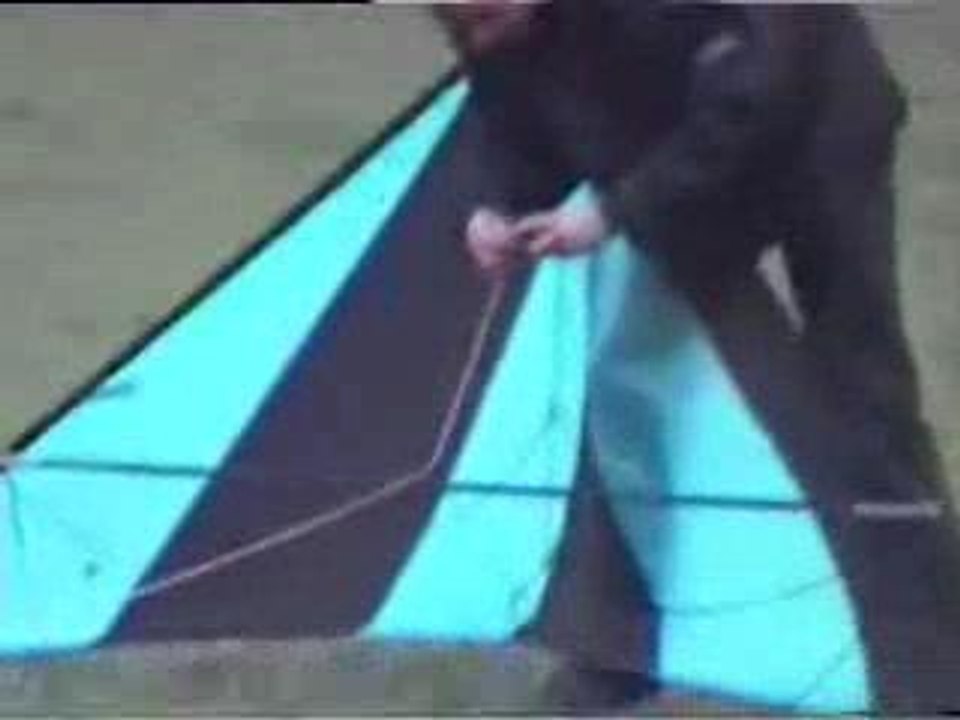regisfaitducerf-volant