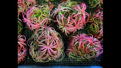 Hénin Beaumont Action, la ville que nous aimons !