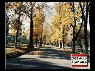 Hindko Maheye by Yasir Kashmiri  - ApnaHazara