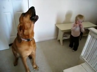 Dog Singing While Boy Plays Harmonica