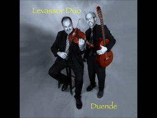 Telemann Allegro from G major Viola Concerto