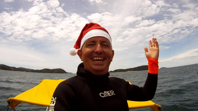 Observação Submarina, Ubatuba, SP, Brasil, Marcelo Ambrogi, Peixes, Tartarugas Gigantes, Apneia, Ilhas Indômitas, Mares Indômitos, (19)