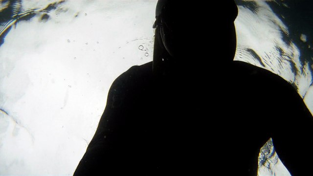 Observação Submarina, Ubatuba, SP, Brasil, Marcelo Ambrogi, Peixes, Tartarugas Gigantes, Apneia, Ilhas Indômitas, Mares Indômitos, (21)