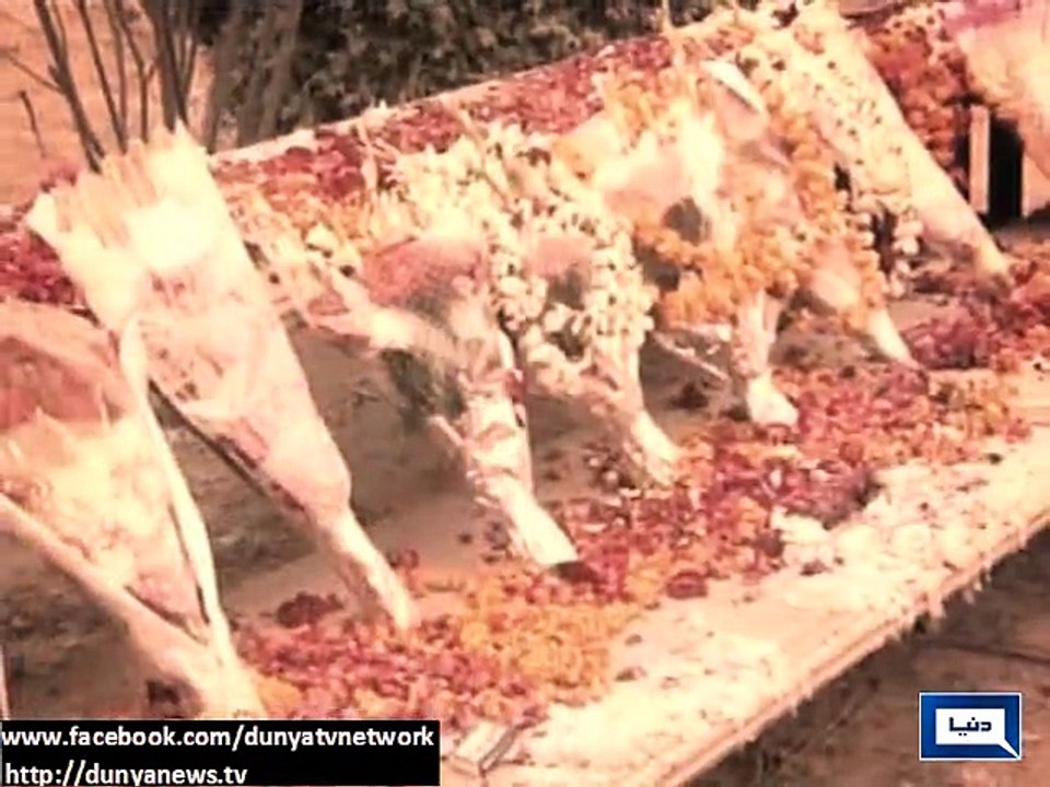Nation still in grief a week after peshawar massacre -