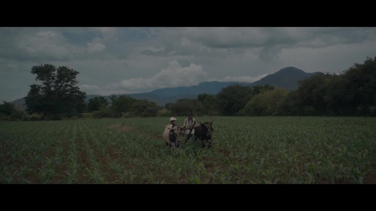 Los Ángeles - Trailer (Deutsch) HD