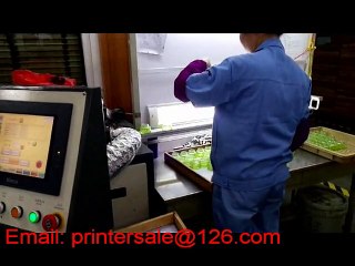 cosmetic glass container CNC printing machine