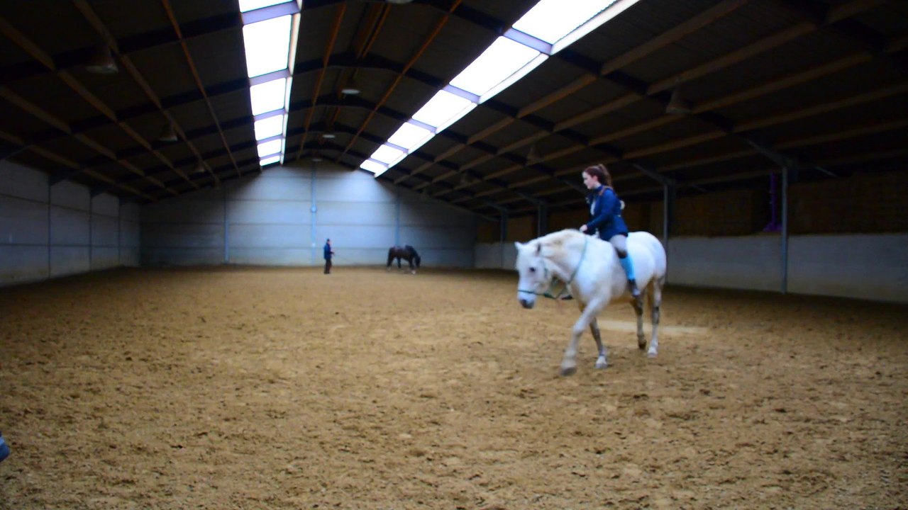 Lola - Décembre 2014