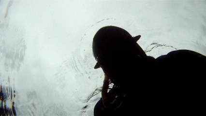Observação Submarina, Ubatuba, SP, Brasil, Marcelo Ambrogi, Peixes, Tartarugas Gigantes, Apneia, Ilhas Indômitas, Mares Indômitos, (30)
