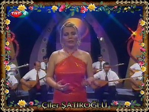 Çiler ŞATIROĞLU *Yeşil Başlı Telli Turnam* (3)