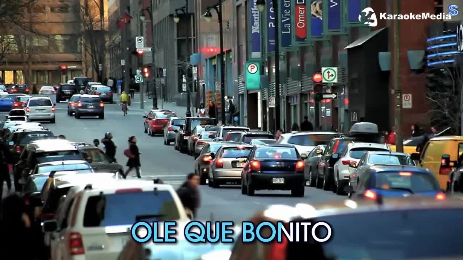 Ay Que Dolor - Los Chunguitos - KARAOKE HQ - video Dailymotion