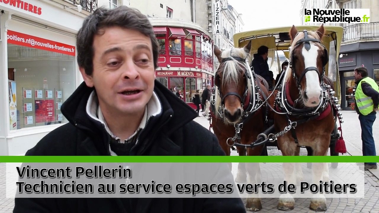 VIDEO. En deux chevaux dans la ville de Poitiers