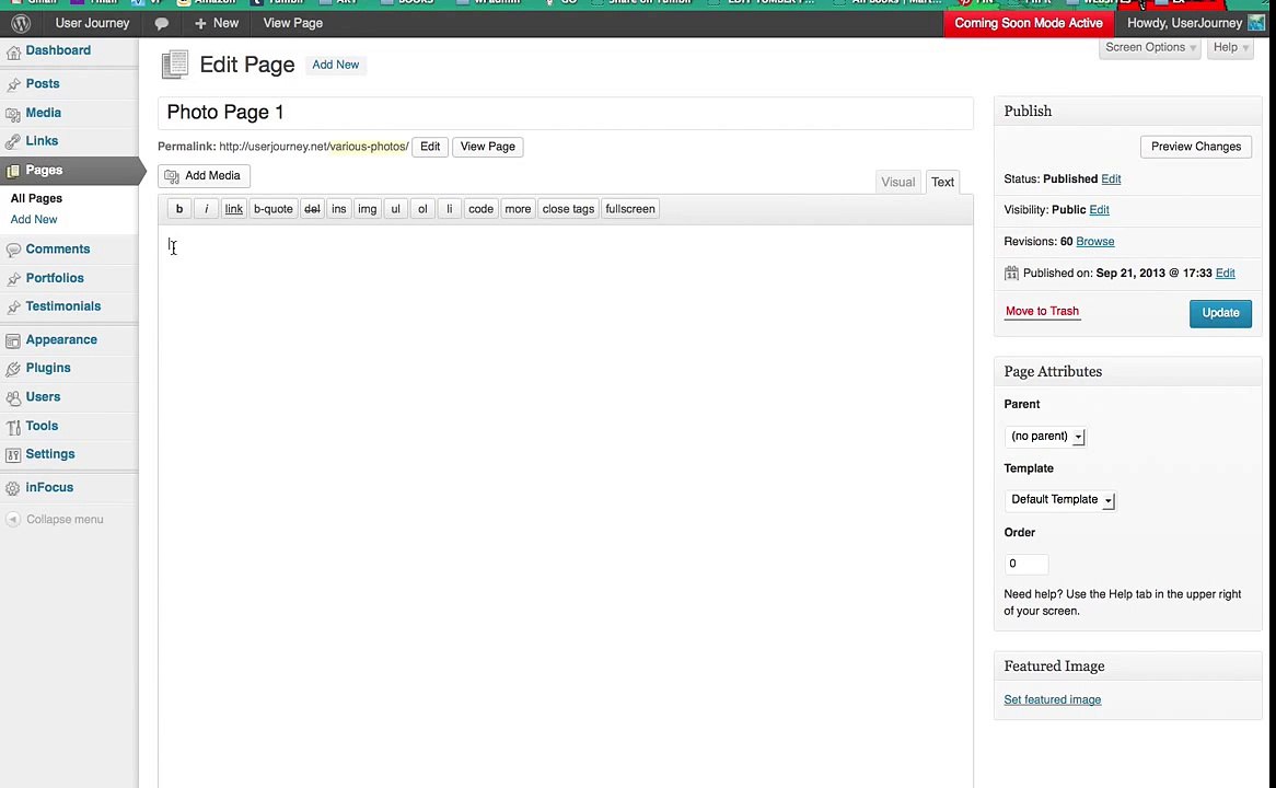 Wordpress Tutorial 2014 - inFocus Theme - Fancy Images I How to use shortcode 'Fancy Images'