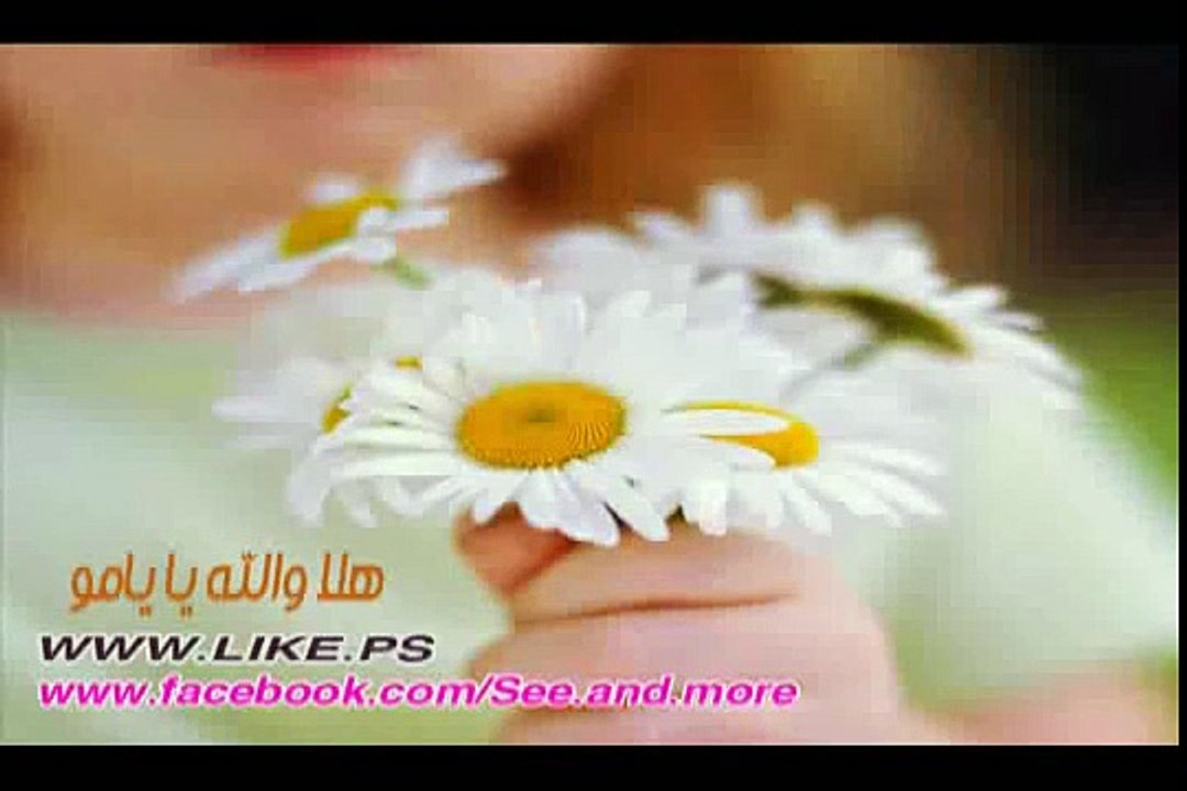 يا يامو لاتبكي 2011 -