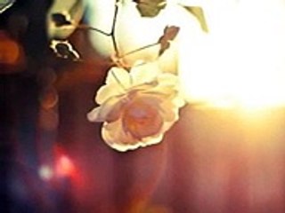 ان شاء الله ماهر زين بدون موسيقي -