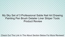 My Sky Set of 3 Professional Sable Nail Art Drawing Painting Pen Brush Detailer Liner Striper Tools Review