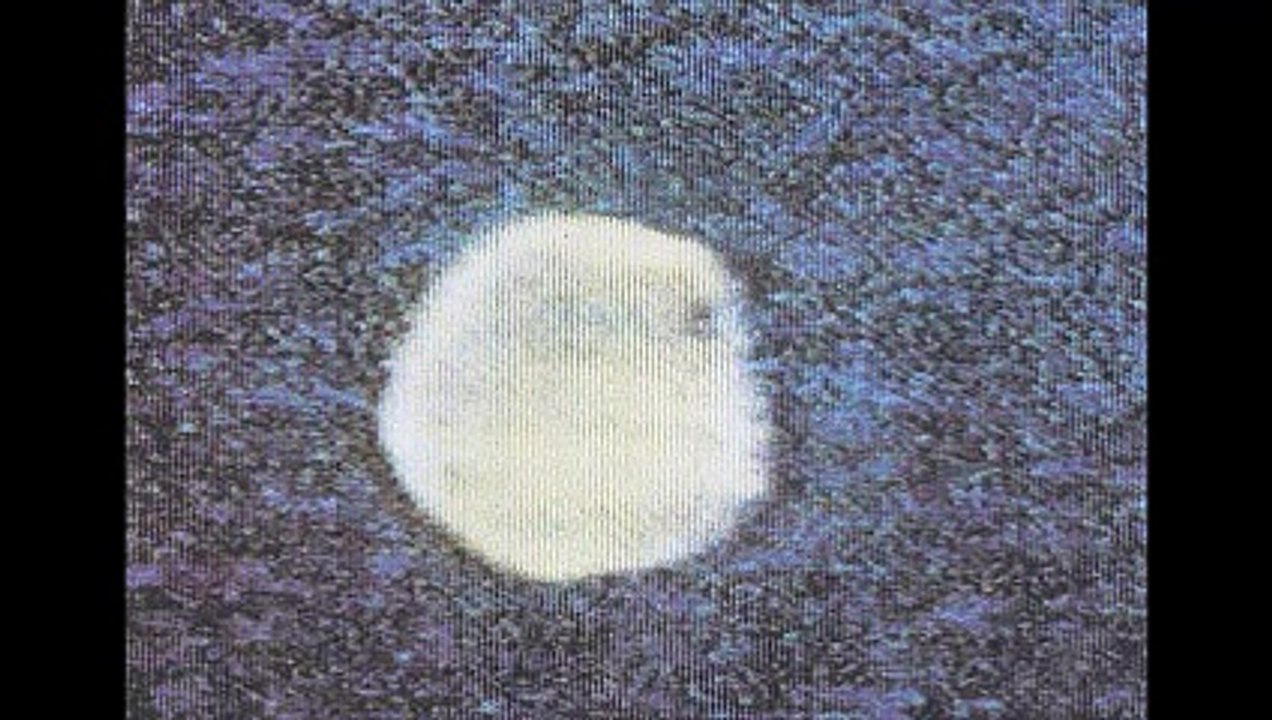 L' affaire Quentin Fogarty. Vraies photos ou trucages ?