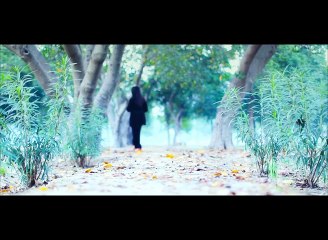 Sajjna Vocalist summan