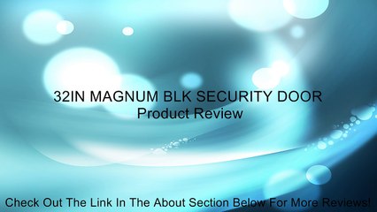 32IN MAGNUM BLK SECURITY DOOR Review