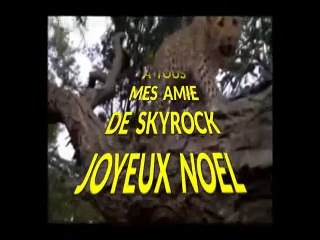 POUR MON AMIE DE SKYROCK.