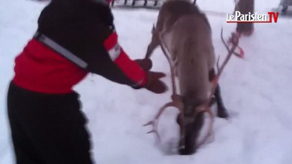 Voyage extraordinaire en Laponie pour 13 enfants malades