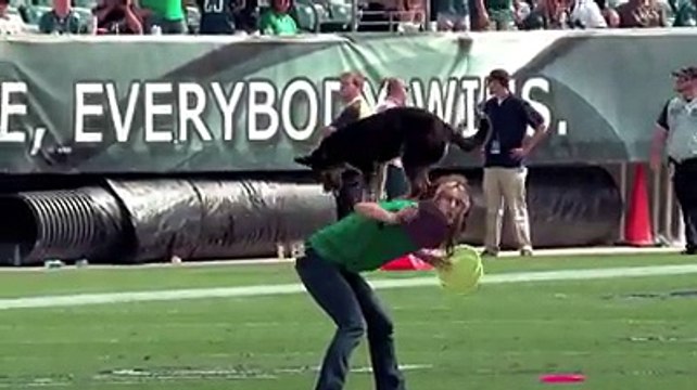 VID-20141213-WA0018.mp4