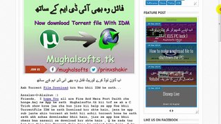 Torrent File download with IDM