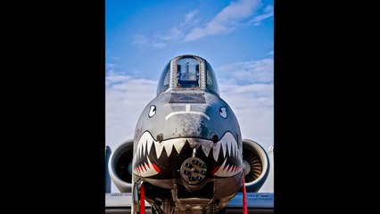 A-10 Thunderbolt Warthog