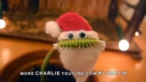 Carnivorous plant dressed as Santa wishes you MERRY CHRISTMAS!