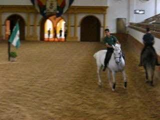 Rodrigo & Eolo - FREAAE - Picadero