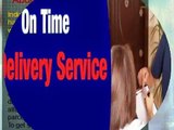 UK and International courier services