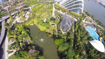 Gardens By The Bay Singapore Christmas Special-HD