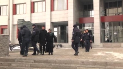 Kars'taki Mert Aydın Davası