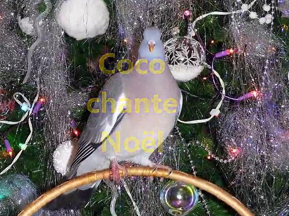 Coco Chante Noël 2014