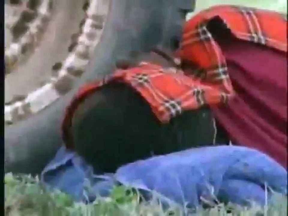 مجموعة صيادين افارقة يصطادون أسد يهاجمهم مهاجمة بشعة جدا عندما يكون الصياد فريسة