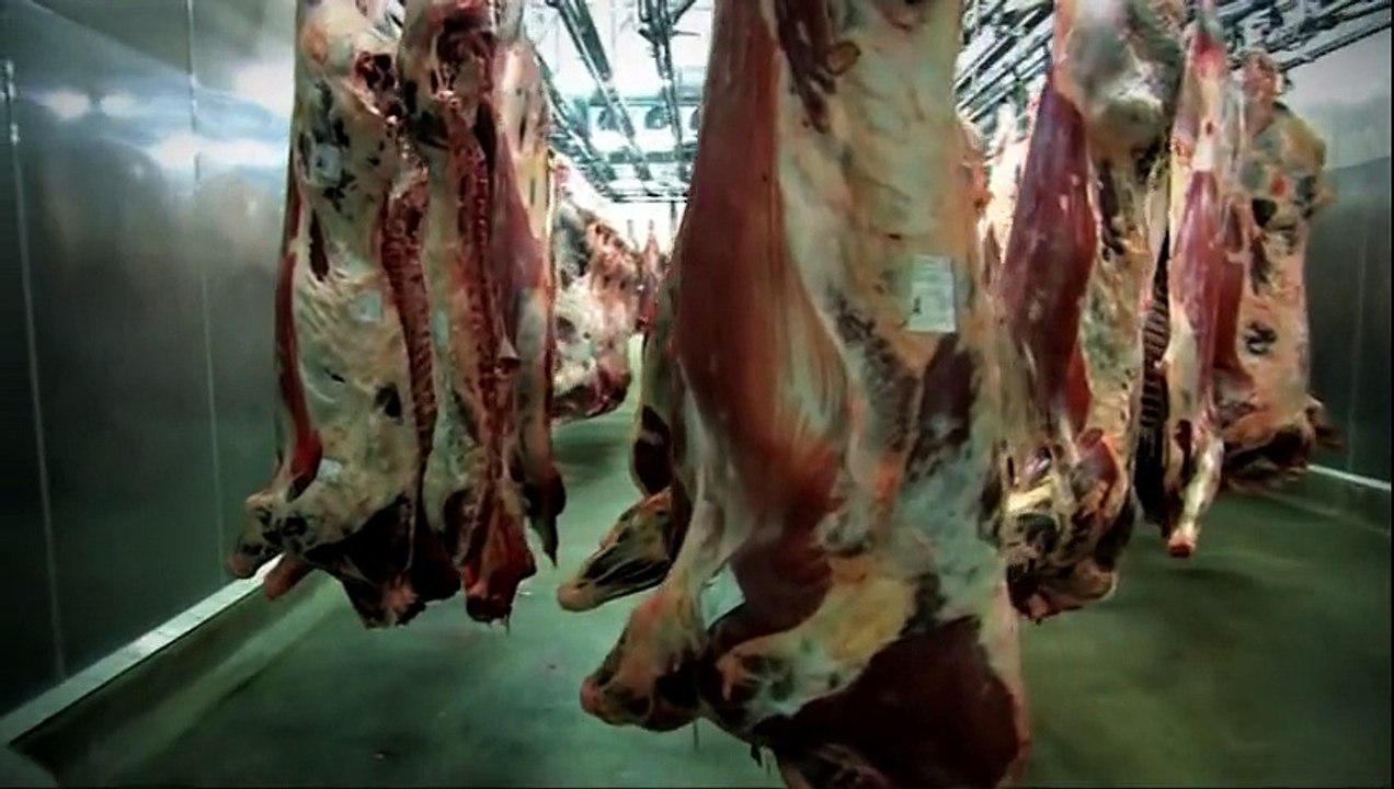 Dossier Carne