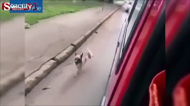 Kilometrelerce ambulansın peşinden koştu!