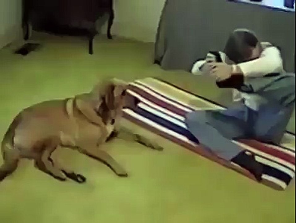 The Flexible Dog! VisPace