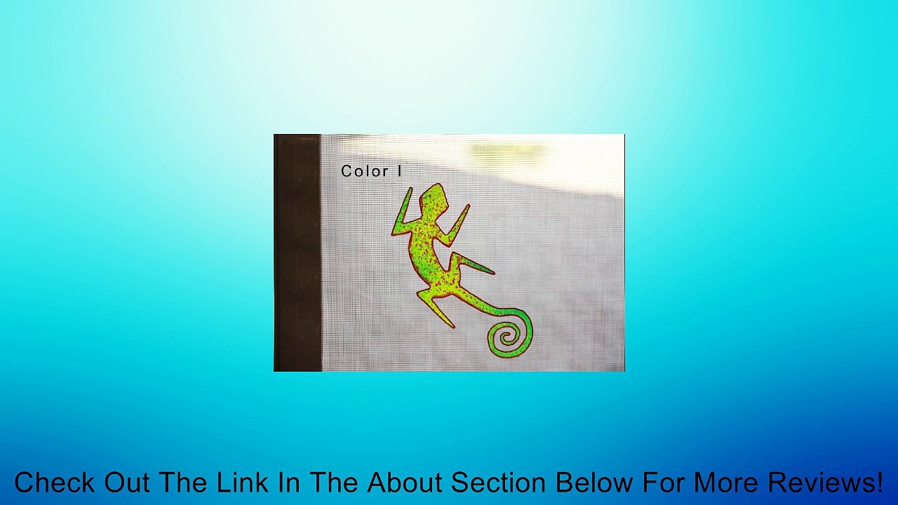 Lizard Magnetic Screen magnet Review