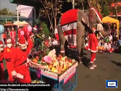 Elephants dressed up as Santa Claus to surprise children with christmas gifts in Thailand