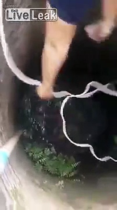 Dog rescued from old well