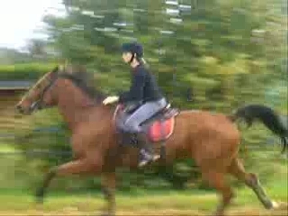 Ulysse Lorraine et moi