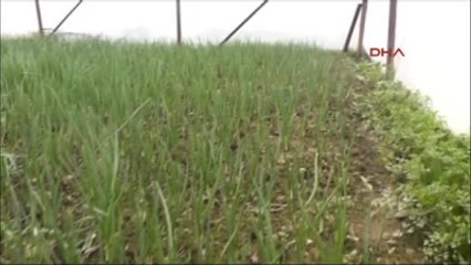 11 Yıl Önce Aldığı Tapulu Arazisinin Hazineye Ait Olduğu İddiası