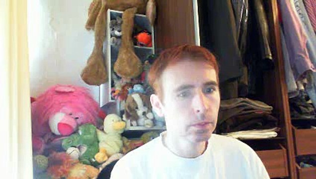 Wiwi égratigne Saint Jean du Doigt de Thomas Fersen